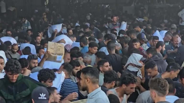 Video Humanitarian disaster in Gaza grows as hundreds storm meals assist warehouse – ABC Information