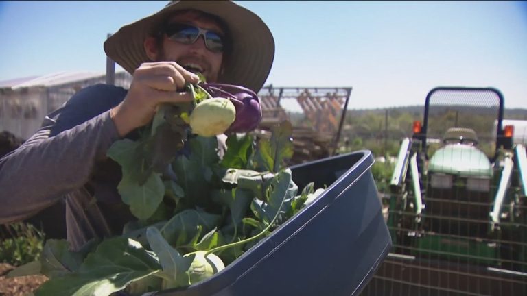 Federal cuts hit meals packages, affecting San Diego residents