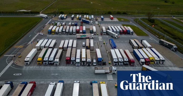 The federal government considers the sale of the Brexit border management level in Kent – Stories | Worldwide commerce