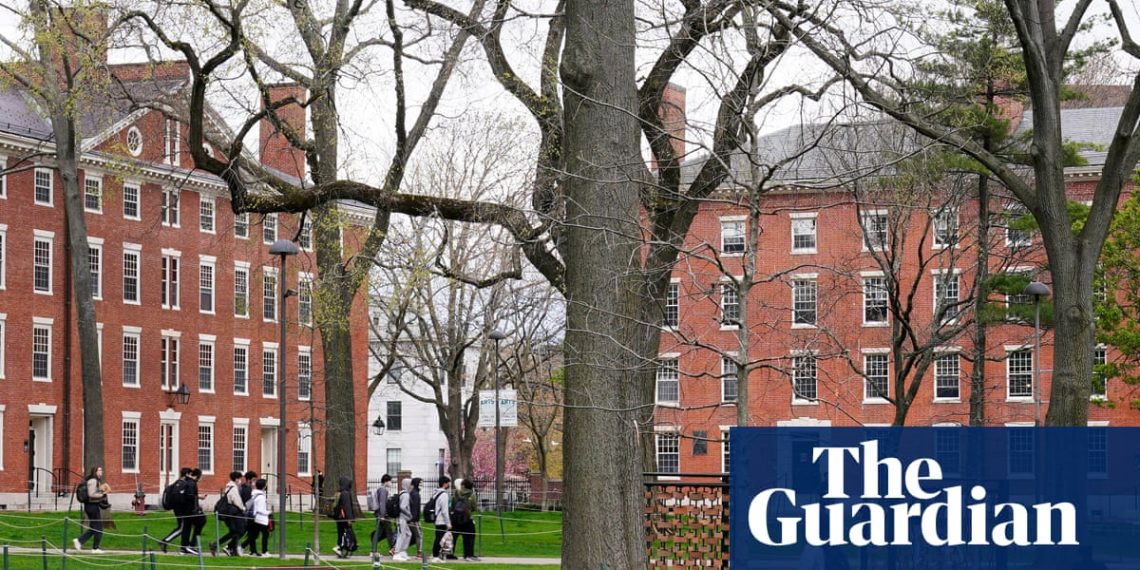 British college students on Harvard report ‘growing nervousness’ on US authorities assaults | Harvard College