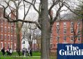 British college students on Harvard report ‘growing nervousness’ on US authorities assaults | Harvard College