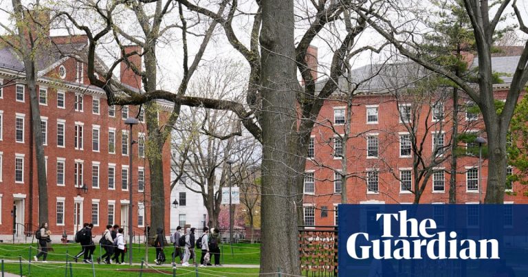 British college students on Harvard report ‘growing nervousness’ on US authorities assaults | Harvard College
