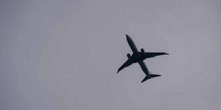 Newark airport disruptions snarl pupil journey plans