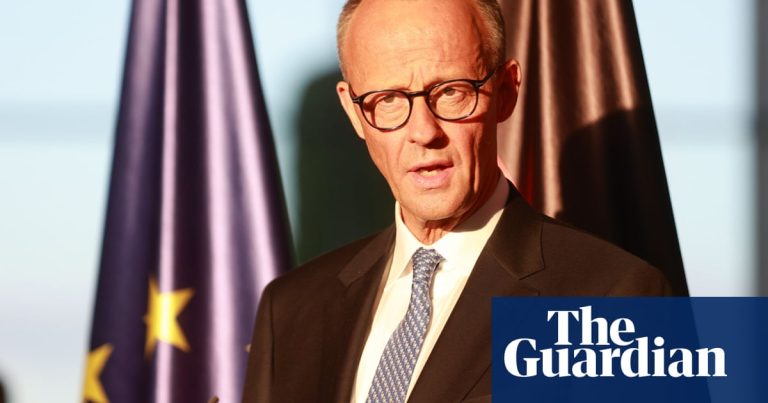 Friedrich Merz asks us to endure German politics | Germany