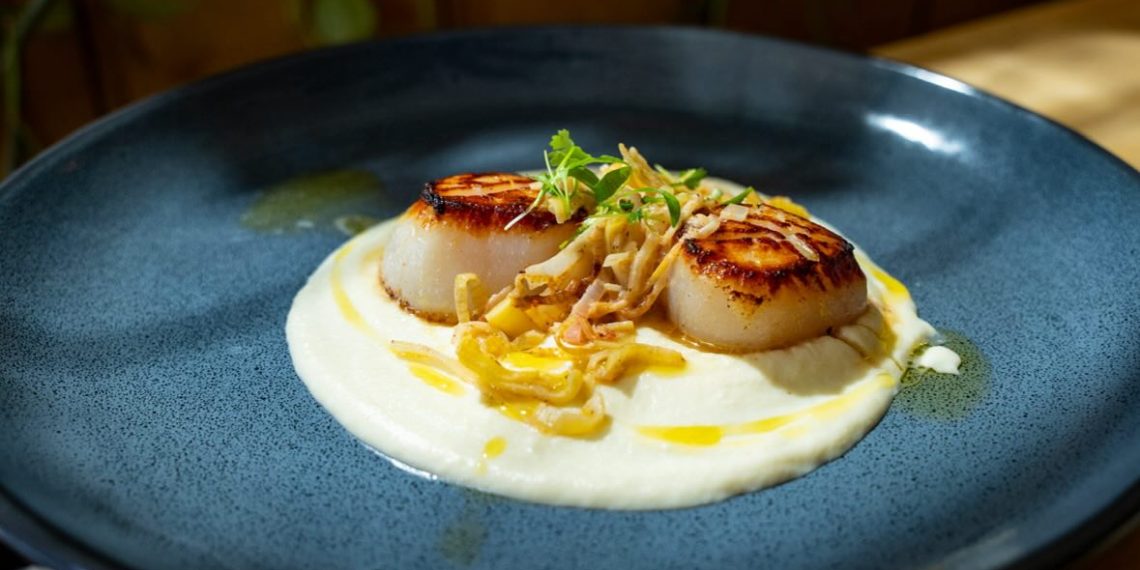 Why The Regional Is a Should-Strive for Meals Lovers in Fort Collins