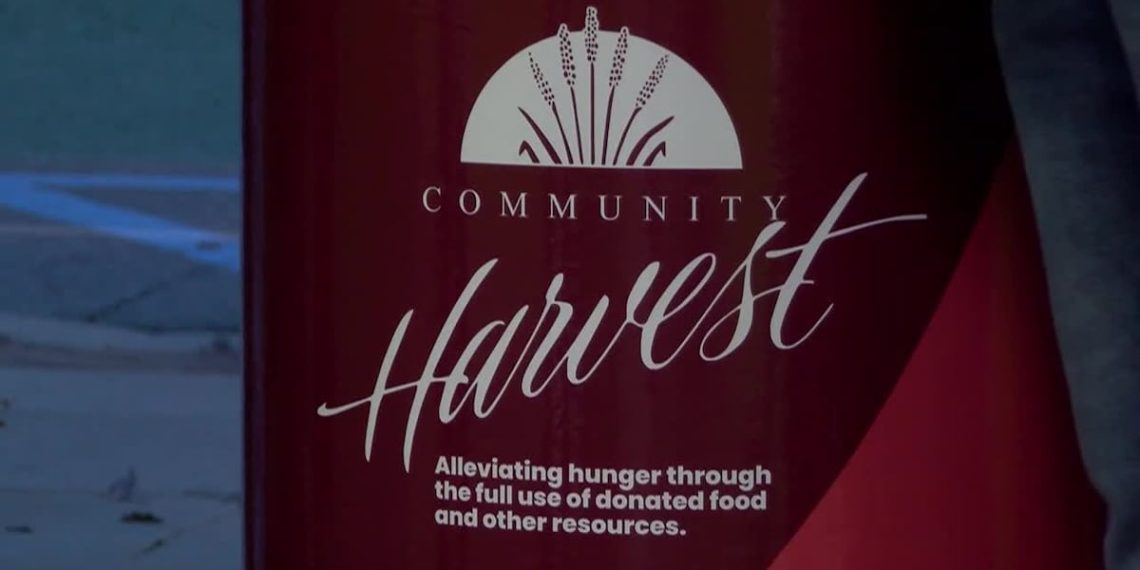 Group Harvest Meals Financial institution’s annual ‘Canstruction’ Marketing campaign outcomes introduced