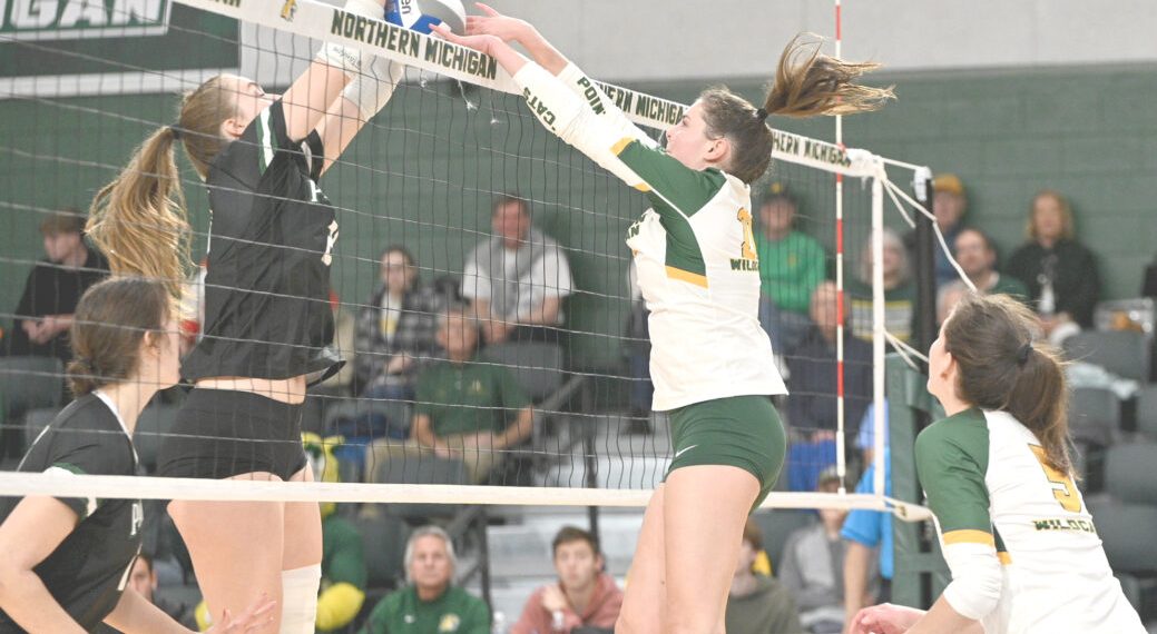 Launch Nmu Volleyball Program Fall | Information, sports activities, jobs