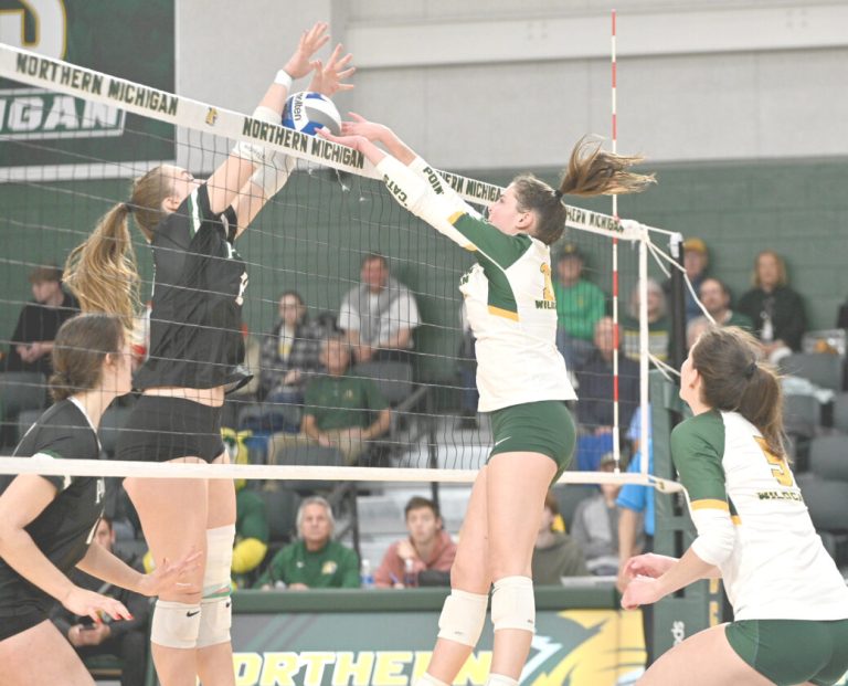 Launch Nmu Volleyball Program Fall | Information, sports activities, jobs