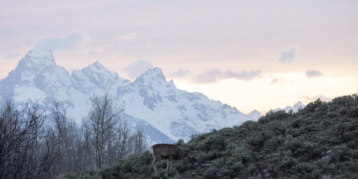 Summer time tourism forecasts accessible in Journey & Tourism Board replace Could 13