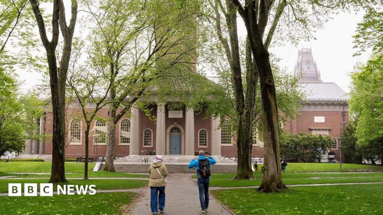 Trump Administration ends Harvard’s capability to document worldwide college students