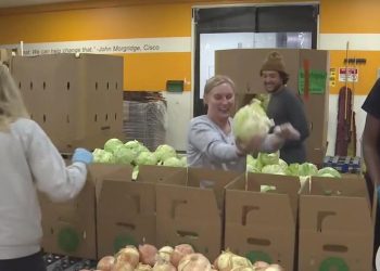 New information from Silicon Valley meals financial institution reveals how intensive starvation is in neighborhood