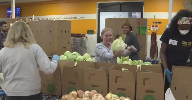 New information from Silicon Valley meals financial institution reveals how intensive starvation is in neighborhood