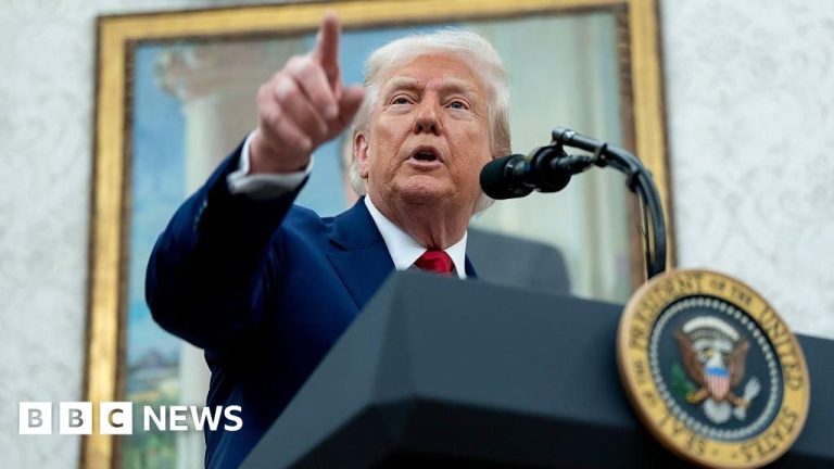 US Industrial Courtroom is obstructing Trump’s complete tariffs in his commerce coverage