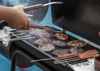 USDA serves up meals security tips for summer time cookouts | Information