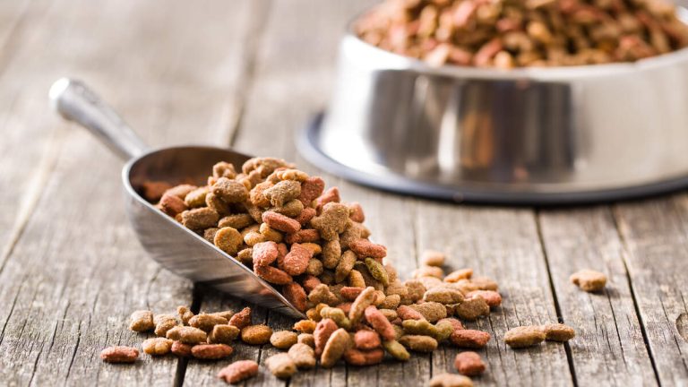 Schenectady Hosts Pop-Up Pet Meals Pantry Tomorrow