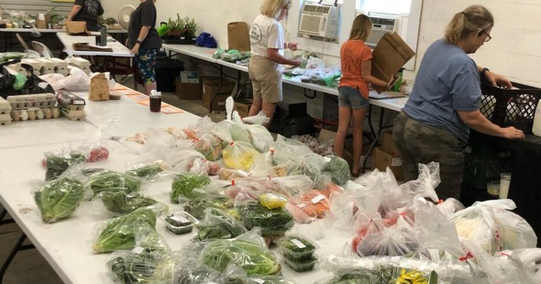 Meals orgs launch ‘Oconee Grown’ tour – upstatetoday.com