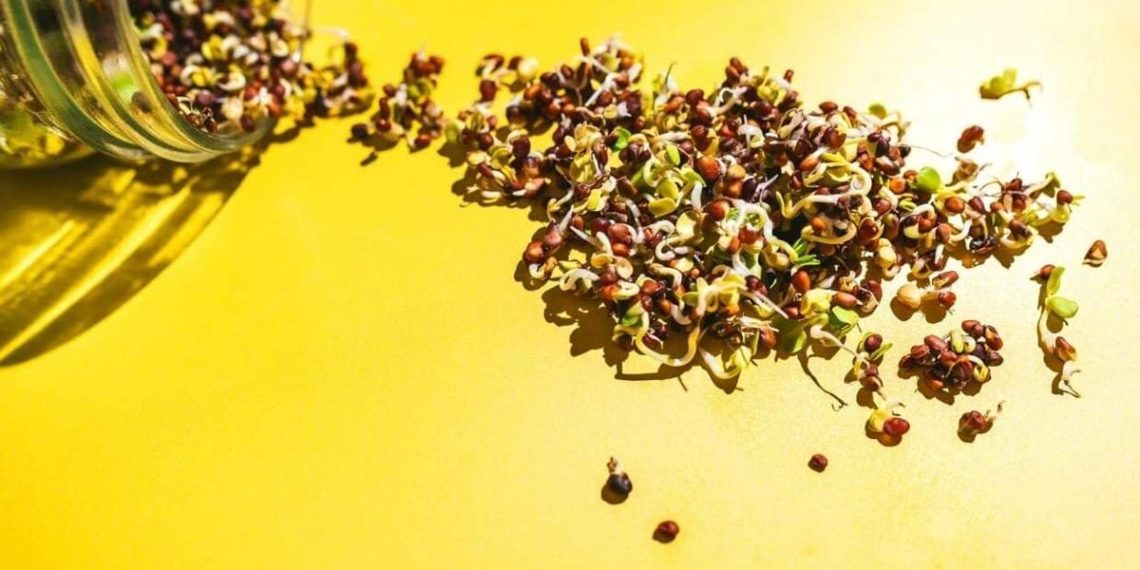 Spring meals developments which might be really value making an attempt | Meals