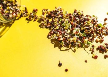 Spring meals developments which might be really value making an attempt | Meals