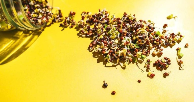 Spring meals developments which might be really value making an attempt | Meals