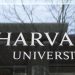 How will the Trump administration transfer have an effect on Harvard worldwide college students – Killeen Each day Herald