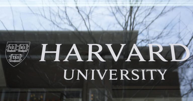 How will the Trump administration transfer have an effect on Harvard worldwide college students – Killeen Each day Herald