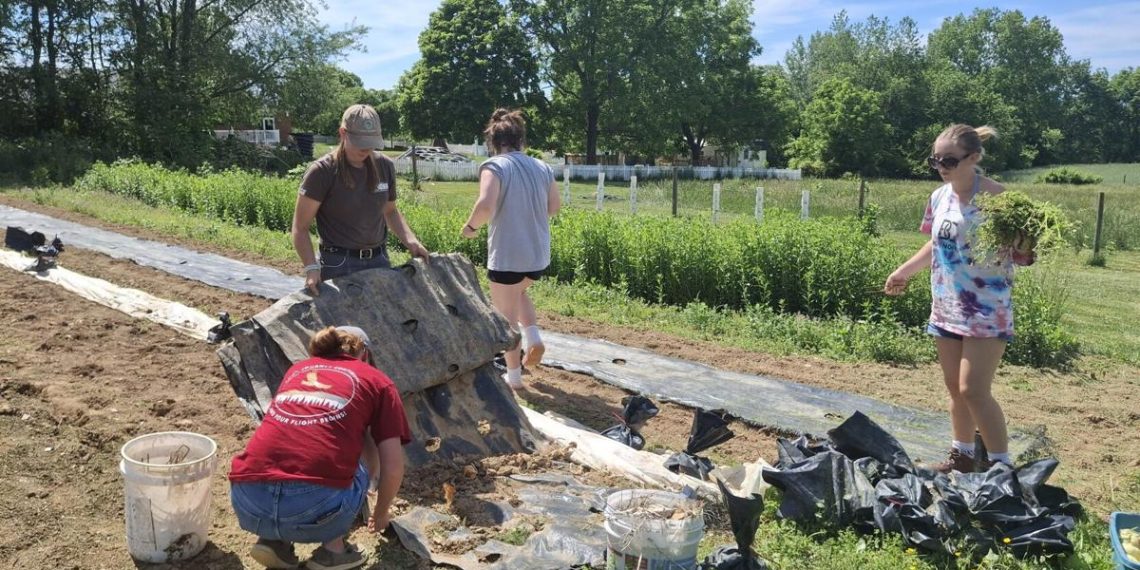 Bridgwater Faculty college students work with church to offer recent produce to meals pantries | Information