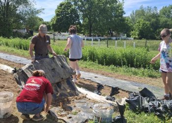 Bridgwater Faculty college students work with church to offer recent produce to meals pantries | Information
