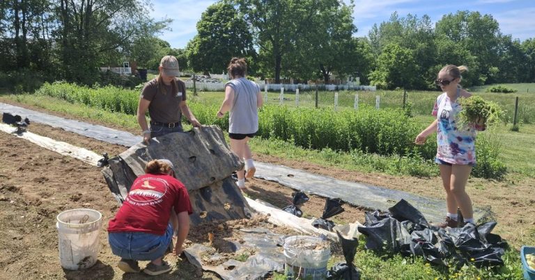 Bridgwater Faculty college students work with church to offer recent produce to meals pantries | Information