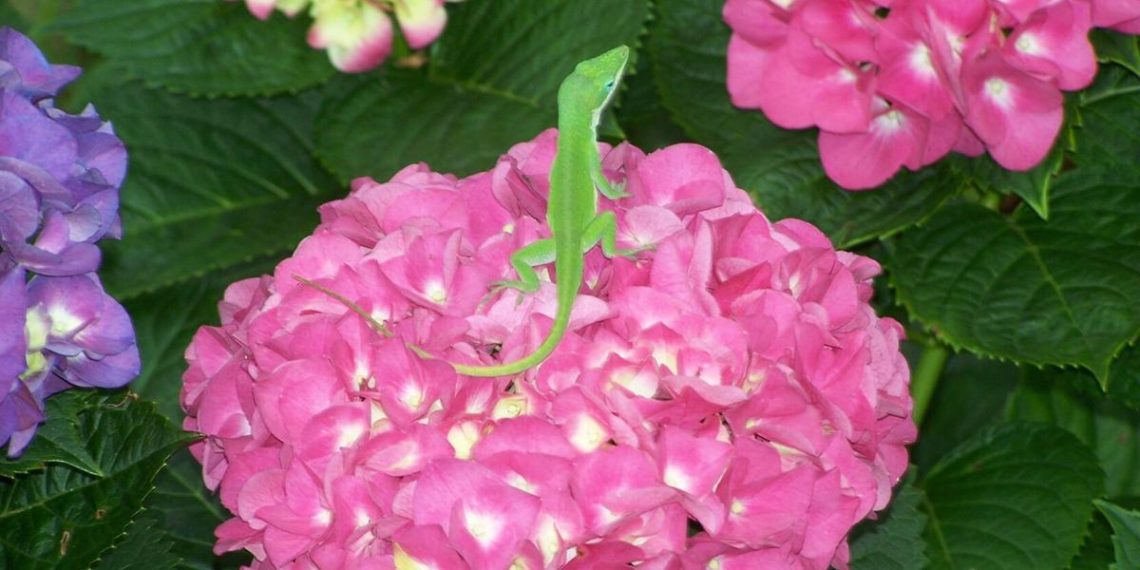 Our readers’ Greatest Photographs from Could 16-22, 2025 | Way of life