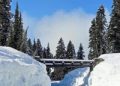 Chinook and Cayuse Passes open for Memorial Day journey | Information