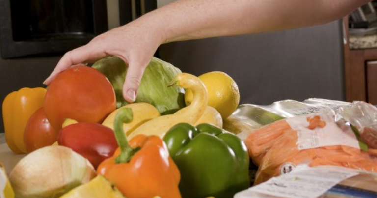 Solar Bucks program aids food-insecure children in Washington state | Spokane Information