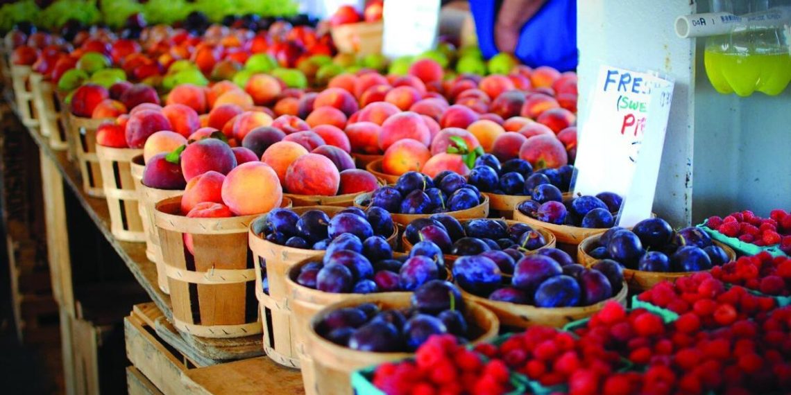 State lawmakers chew on potential meals security updates for Virginia in wake of federal cuts | Well being