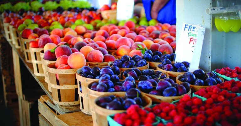 State lawmakers chew on potential meals security updates for Virginia in wake of federal cuts | Well being