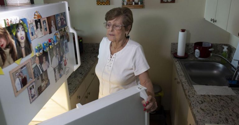 Florida seniors on meals stamps are ‘counting pennies.’ Now, Congress is, too | Florida Information