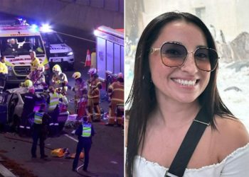 Mum combating for all times in hospital after driving on flawed aspect of street earlier than head-on truck collision