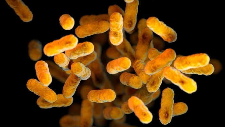 Well being division warns of extreme signs as whooping cough spreads in Oscoda County
