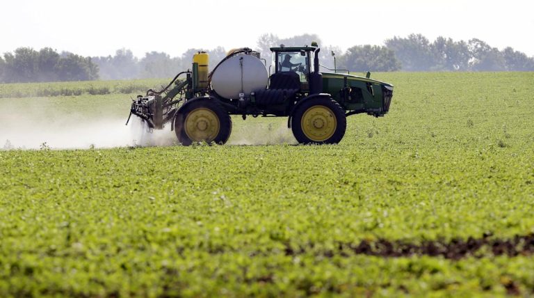 GOP allies in farm and meals are sweating RFK Jr.’s large report