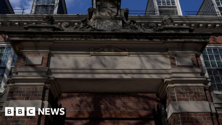 Jugge completely blocks Trump’s plan to cease Harvard to document international research