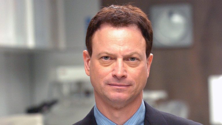 Gary Sinise balances household priorities with potential return to appearing profession