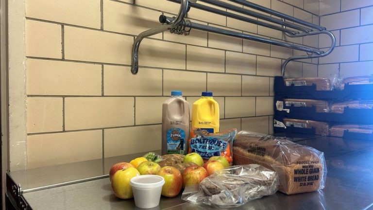Bristol Tennessee Metropolis Faculties launch summer time meal program to fight meals insecurity