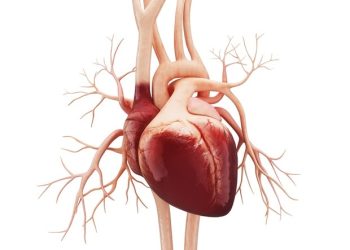 WHO and companions announce subsequent part of African illness monitoring initiative