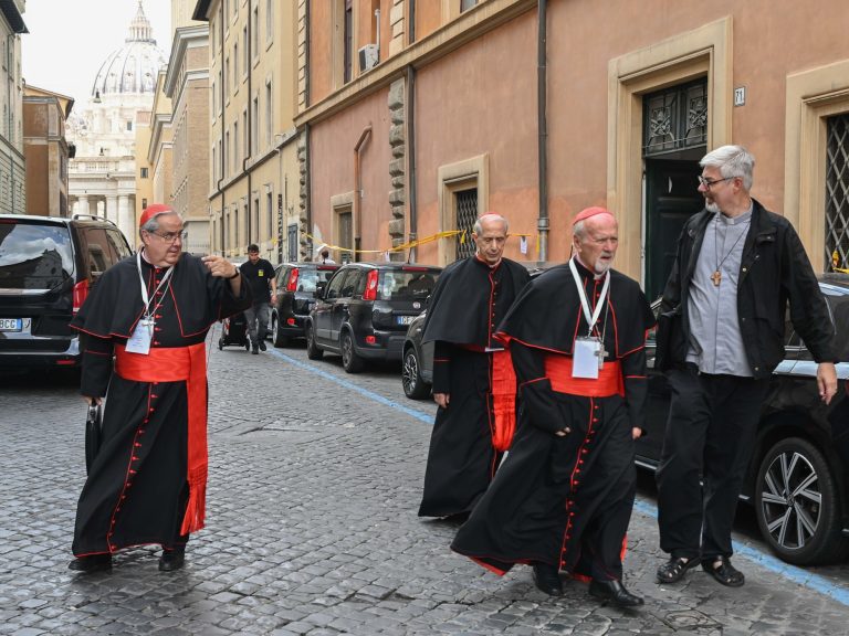 Who would be the subsequent Pope? “Every little thing is open,” says Argentinian cardinals and anxiousness grows