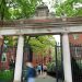 Harvard sues Trump’s administration for banning overseas pupil enrollment