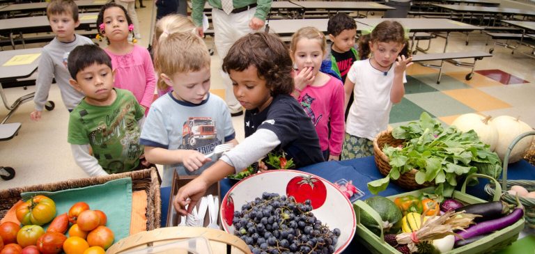 Indiana opts out of summer season program for hungry schoolchildren – Indianapolis Information | Indiana Climate | Indiana Visitors