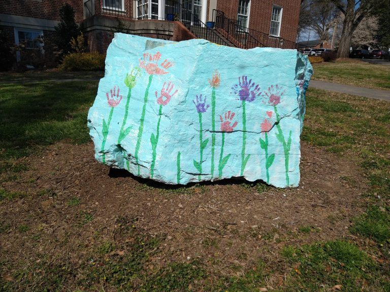 Bridging Households foster program expands in NC
