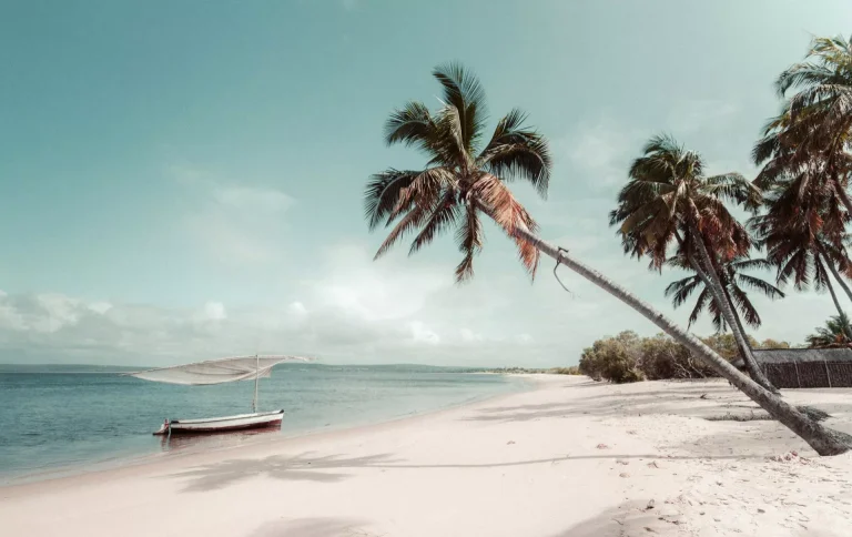 Mozambique Suspends Digital Journey Authorization for New Visa-Exempt Guests from South Africa, Canada, EU, and Asia – Journey Replace 2025