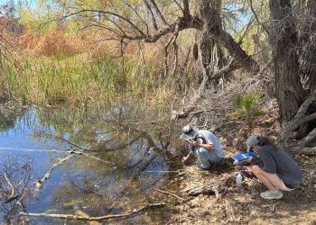 College students in ASU lab works to enhance river protect’s well being
