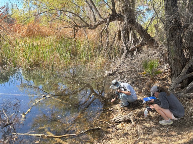College students in ASU lab works to enhance river protect’s well being