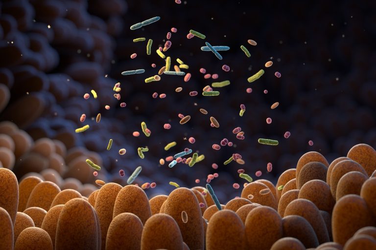 Scientists construct world’s most accessible intestine micro organism assortment to unlock well being and illness clues