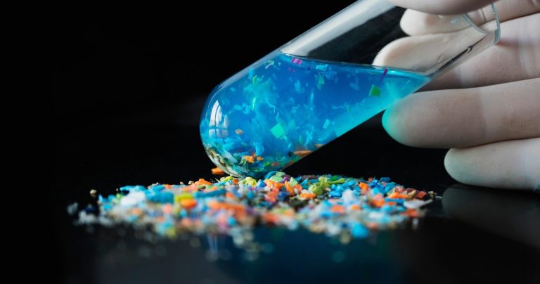 Microplastics in ultra-processed meals might gasoline psychological well being dangers, specialists warn